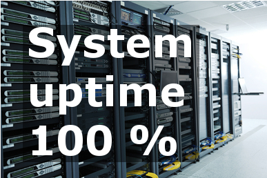 System Uptime 100%